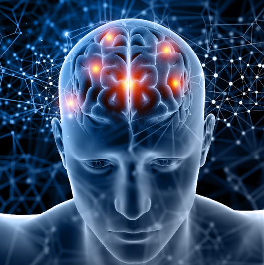 Brain Endurance Training to Enhance Your Pickleball Performance - PicklElite